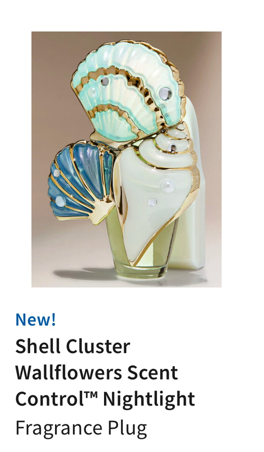 Wallflower Plug Shell Cluster BBW