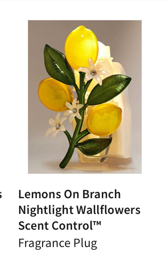 Wallflower Plug Lemons on branch BBW